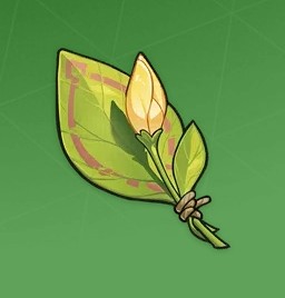 A Flower Yet to Bloom