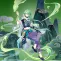 Baizhu — Genshin Impact character