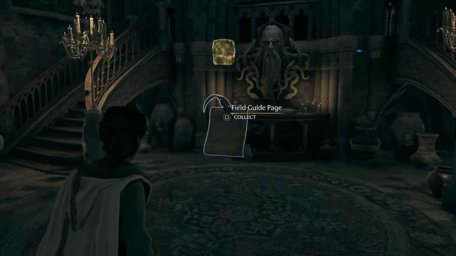 All Grand Staircase Revelio Field Guide Pages in Hogwarts Legacy Pro