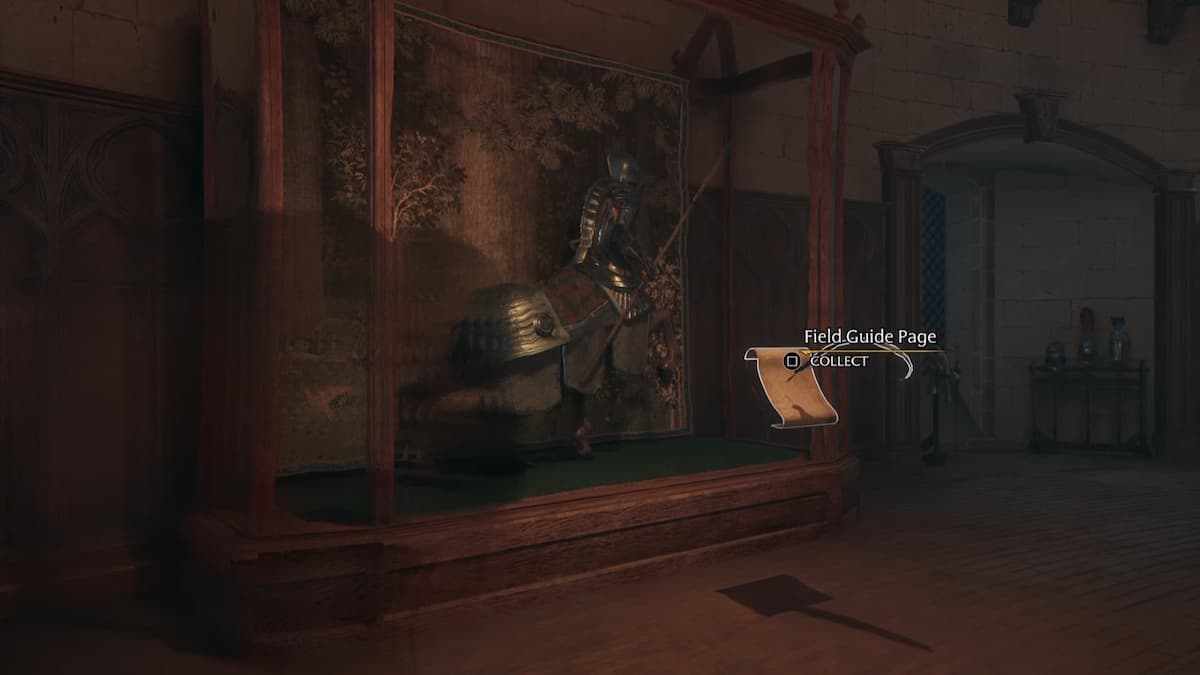 All Grand Staircase Revelio Field Guide Pages in Hogwarts Legacy Pro