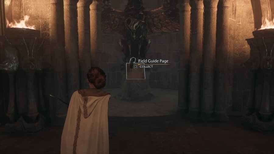 All Grand Staircase Revelio Field Guide Pages in Hogwarts Legacy Pro