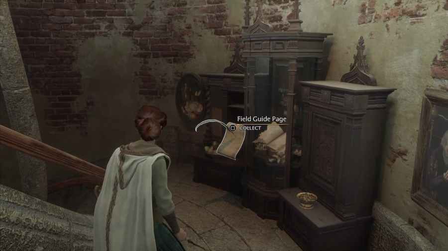 All Grand Staircase Revelio Field Guide Pages in Hogwarts Legacy Pro