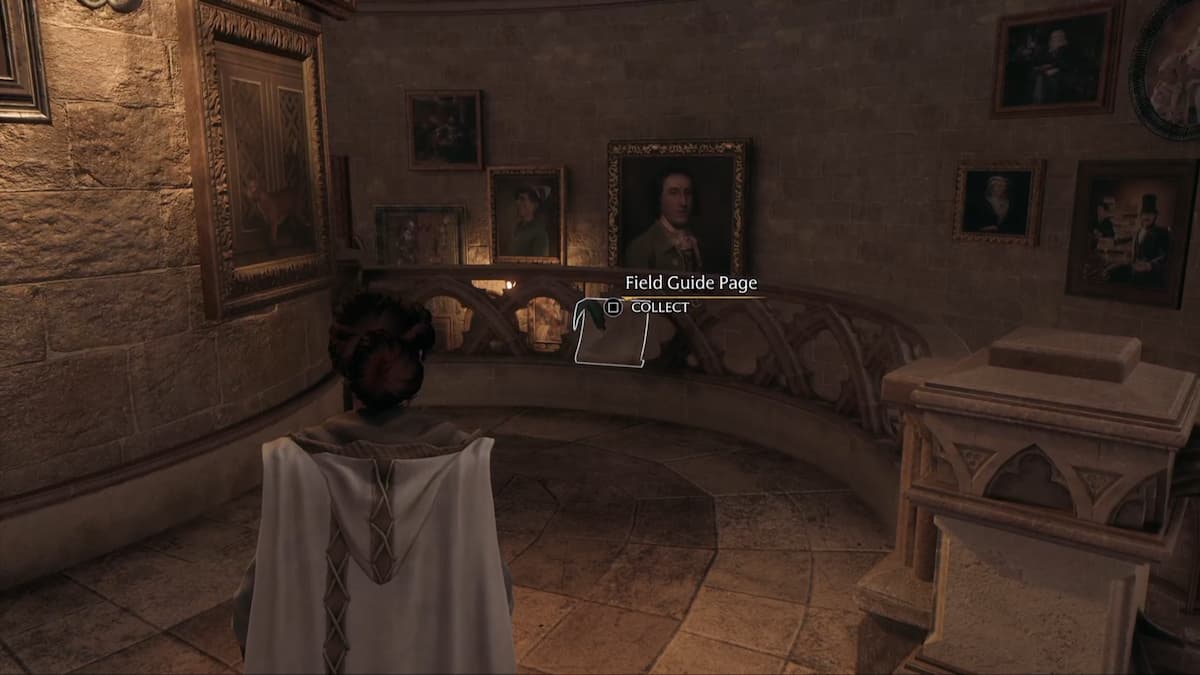 All Grand Staircase Revelio Field Guide Pages in Hogwarts Legacy Pro Game Guides