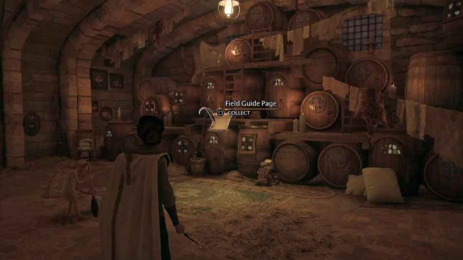 All Revelio Field Guide Pages in The Great Hall Wing in Hogwarts Legacy