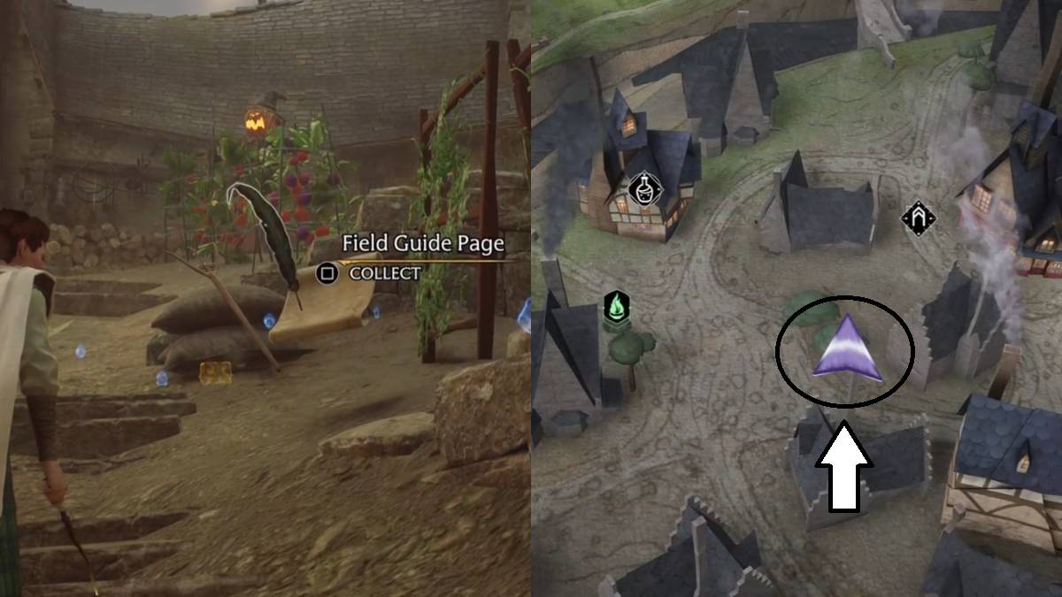 All Revelio Field Guide Pages in Hogsmeade Hogwarts Legacy