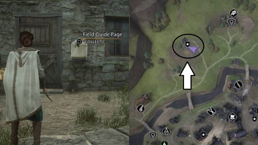 All Revelio Field Guide Pages in Hogsmeade Hogwarts Legacy