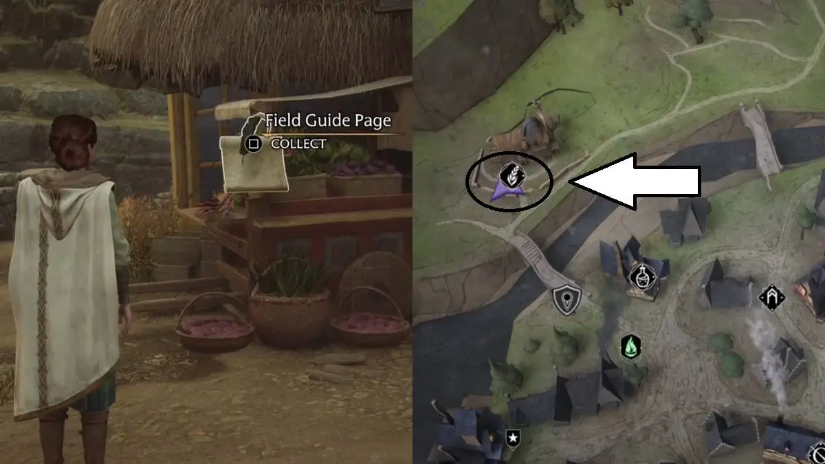 All Revelio Field Guide Pages in Hogsmeade in Hogwarts Legacy The Hiu