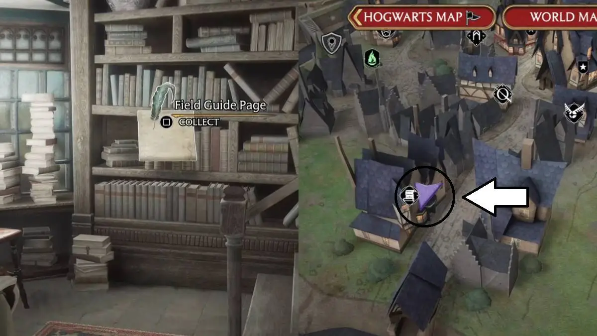 All Revelio Field Guide Pages in Hogsmeade Hogwarts Legacy