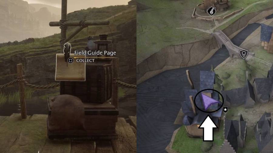 All Revelio Field Guide Pages in Hogsmeade Hogwarts Legacy
