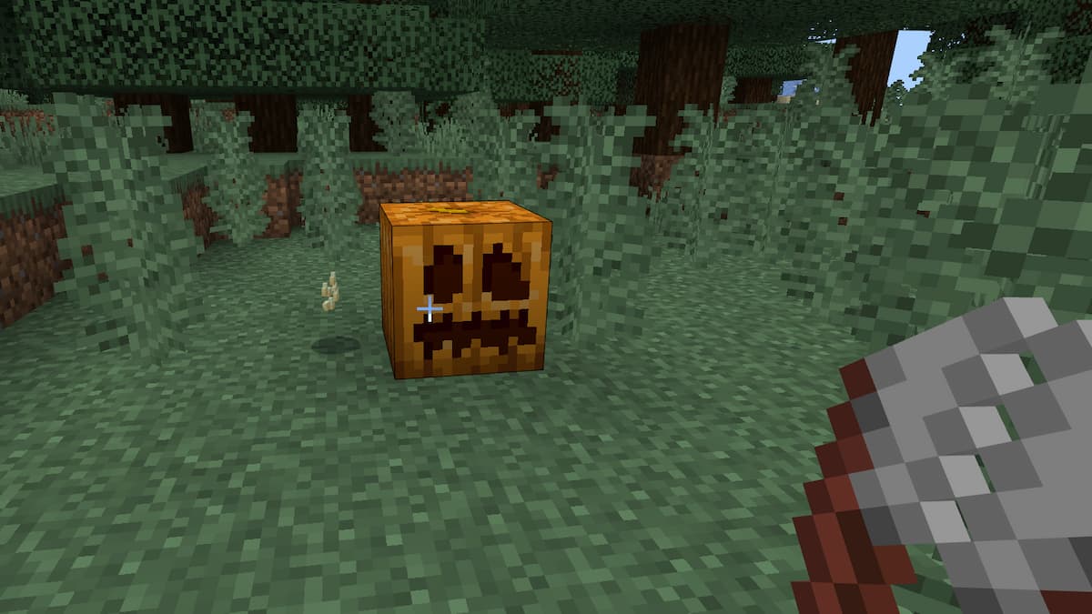 How to get Pumpkin Seeds in Minecraft - Pro Game Guides