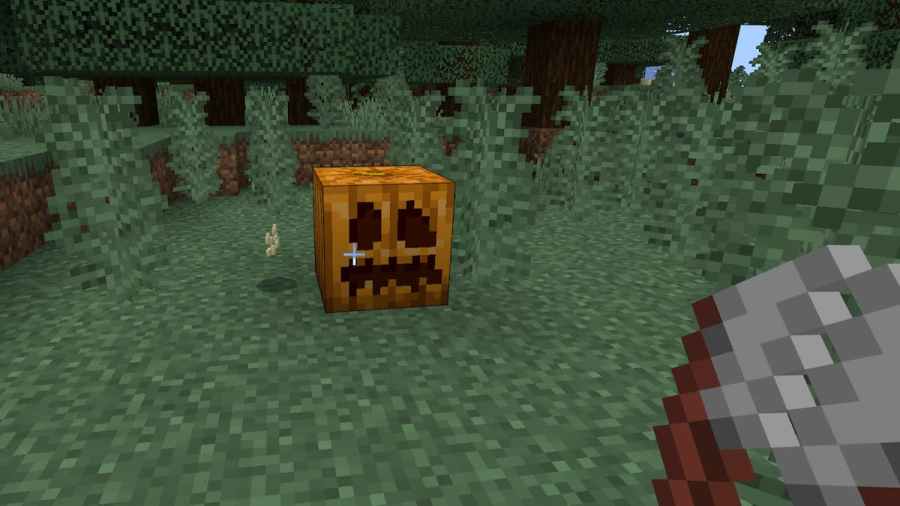 How to get Pumpkin Seeds in Minecraft Pro Game Guides
