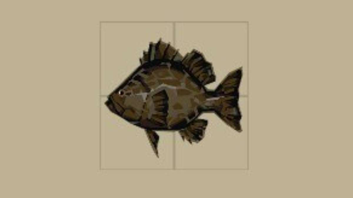 Where to find a Black Grouper in Dredge Pro Game Guides
