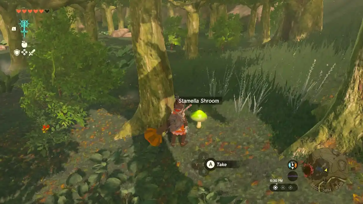 Where to farm Stamella Shrooms in Zelda TotK (Tears of the Kingdom ...