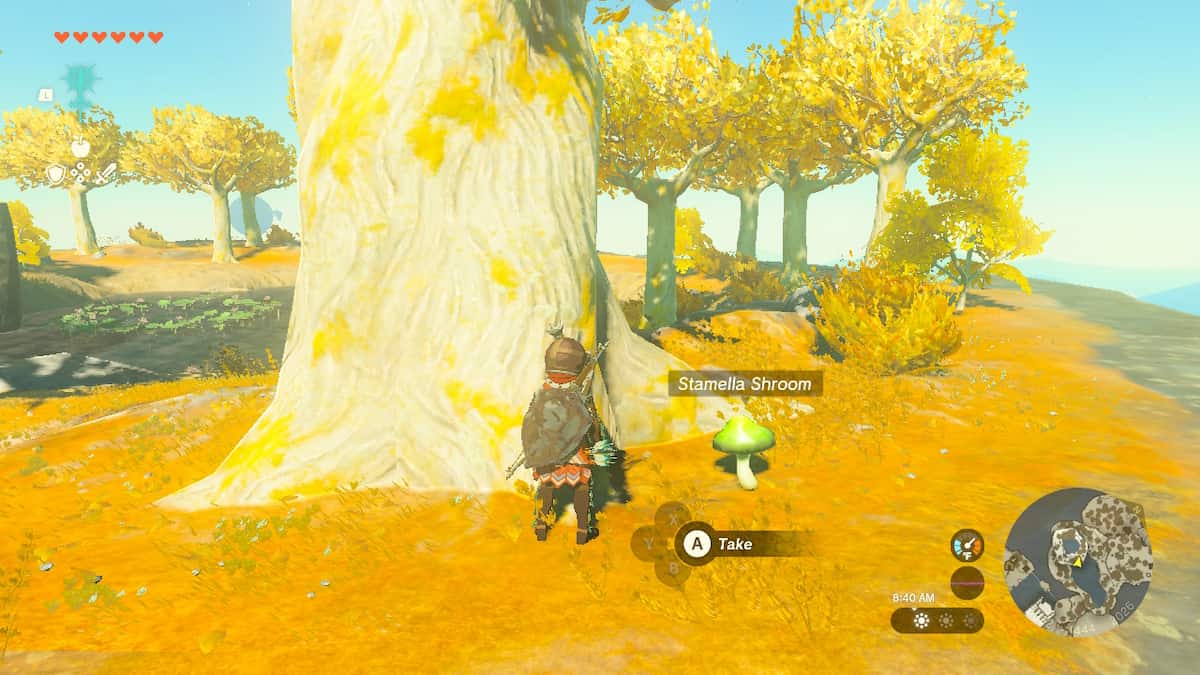 Where to farm Stamella Shrooms in Zelda TotK (Tears of the Kingdom