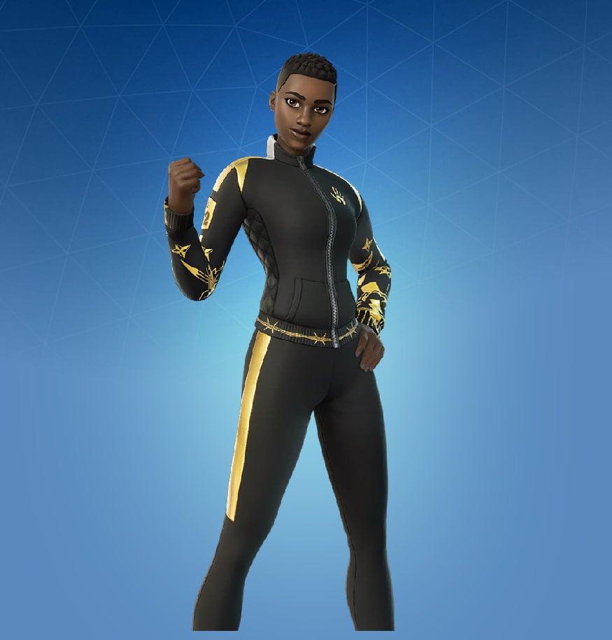 Stealthy Surveyor Skin