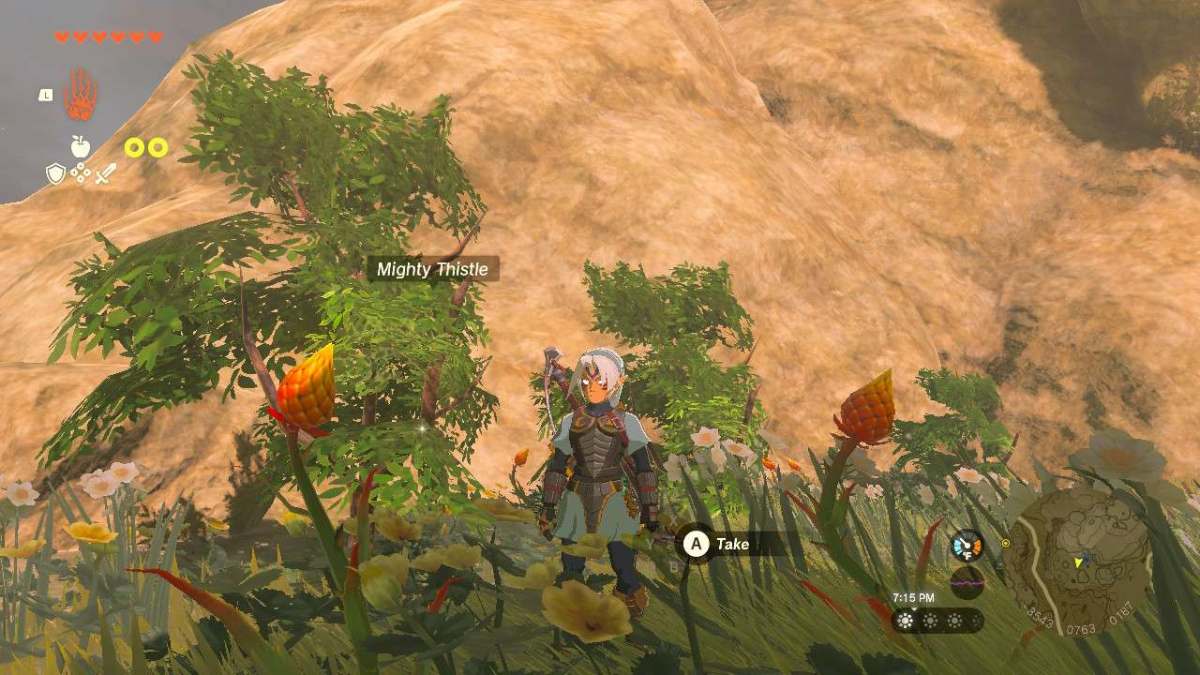 How to farm Mighty Thistle fast in Zelda Tears of the Kingdom (TOTK ...