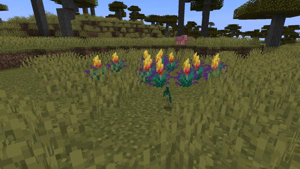 Torchflower Robe Minecraft How to get Torchflower seeds in Minecraft - Pro Game Guides