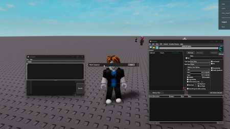 Best Roblox Script Executors and Exploits (2025) Pro Game Guides