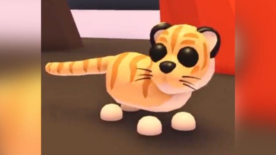 All pets that can be hatched from the Danger Egg in Adopt Me! Roblox