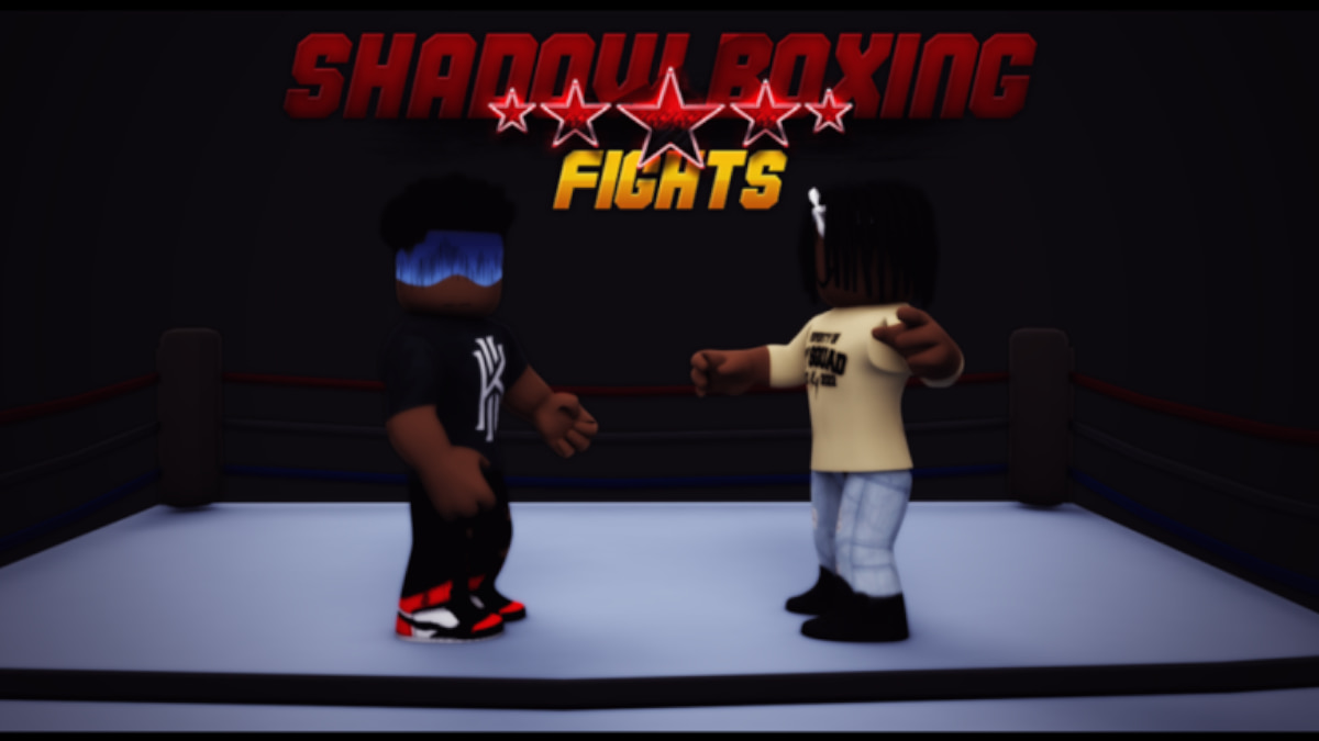 Shadow Boxing Fights Codes (December 2023) - Pro Game Guides
