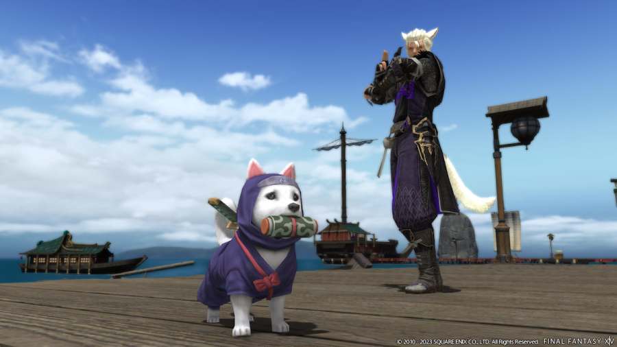 All Minions added in FFXIV Patch 6.45 & how to get them Pro Game Guides