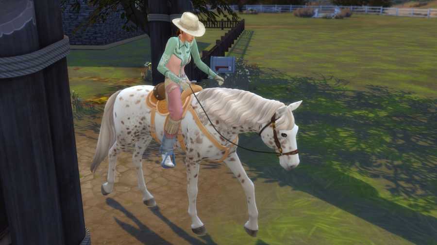 how-to-train-horses-in-sims-4-horse-ranch-pro-game-guides