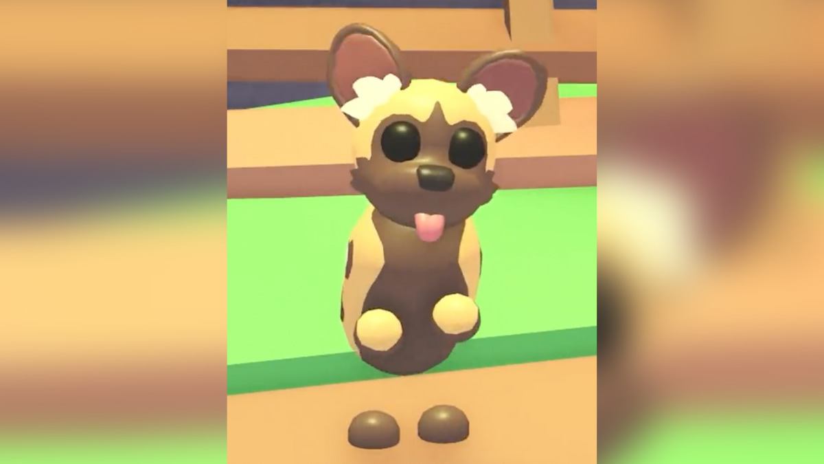 All pets added with Adopt Me’s Safari and Friendship Bar update