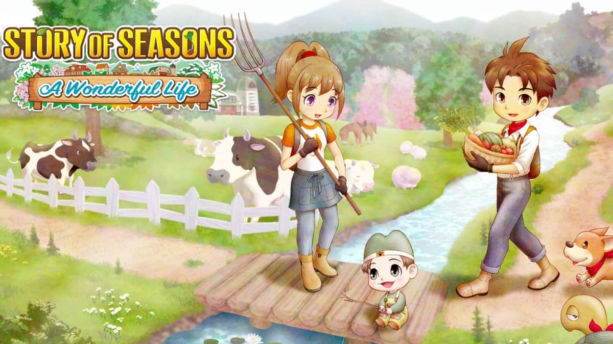 All Matthew Heart Events - Story of Seasons A Wonderful Life | Pro Game ...