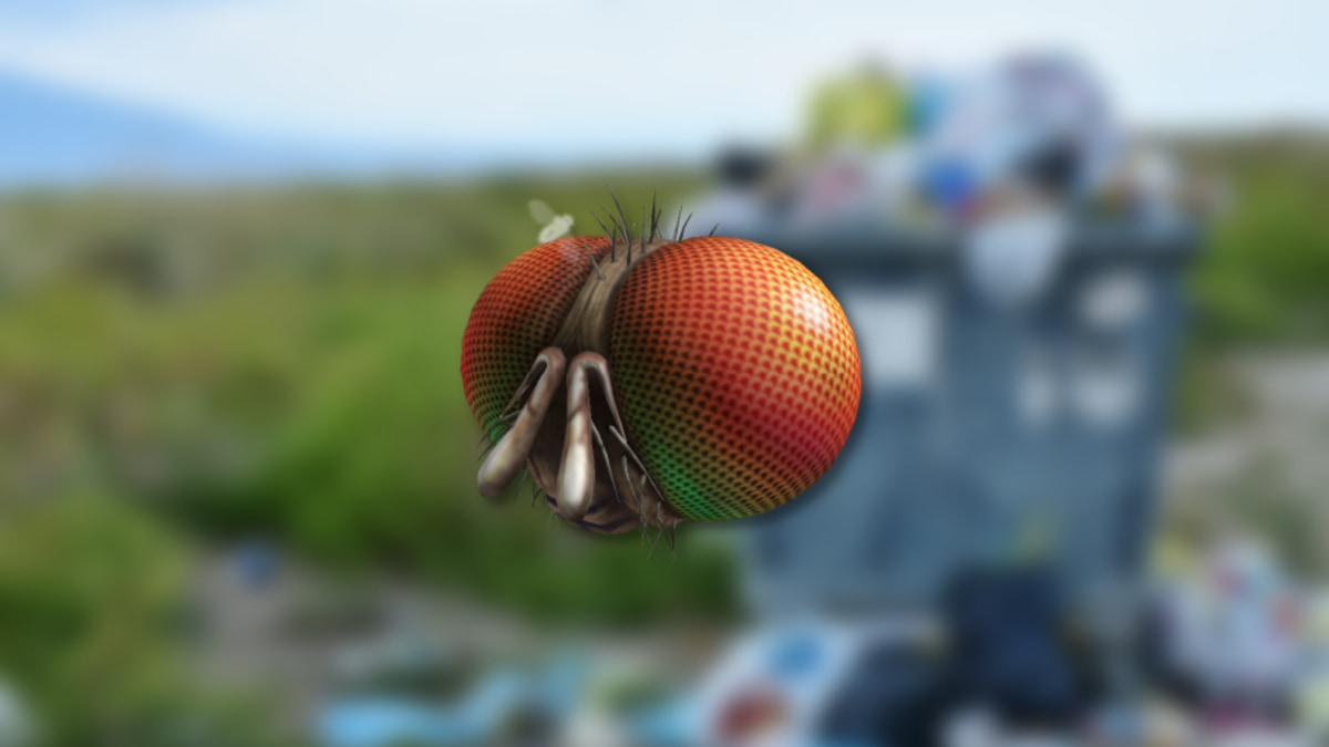 Image by Pro Game Guides