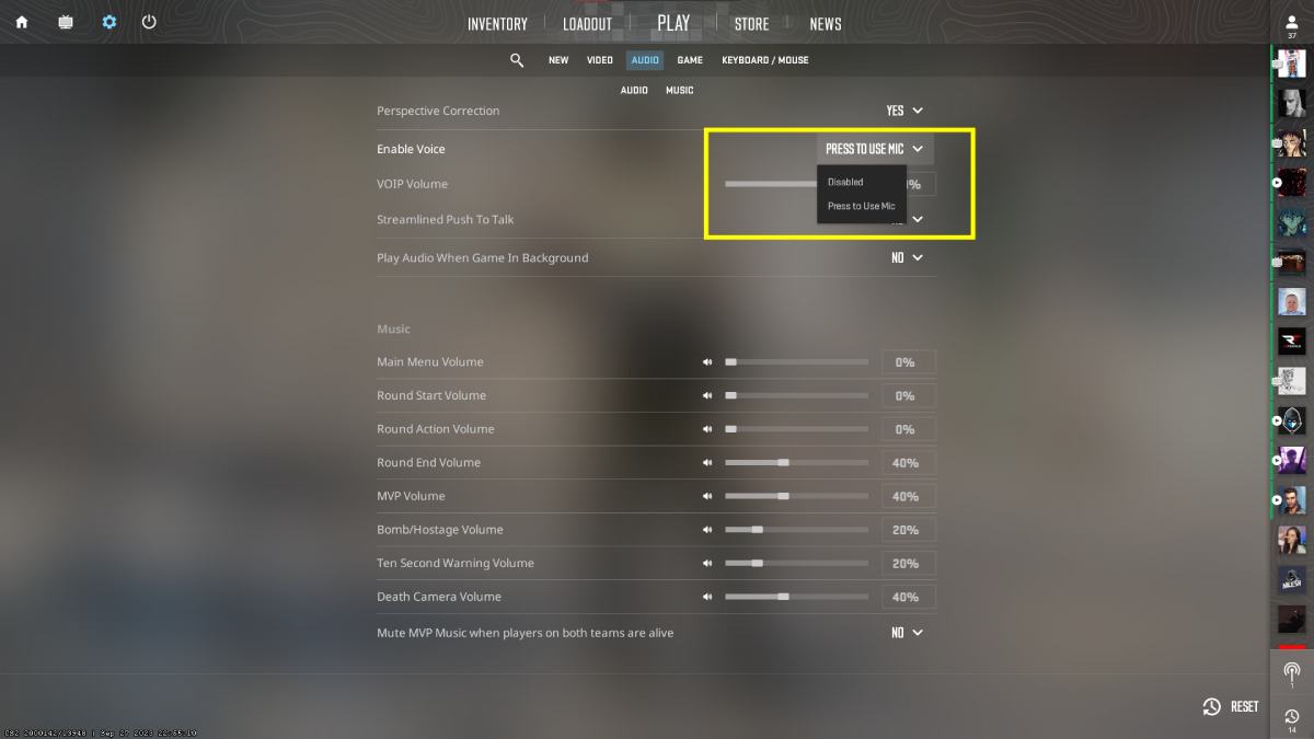 CS2-Voice-Chat-option