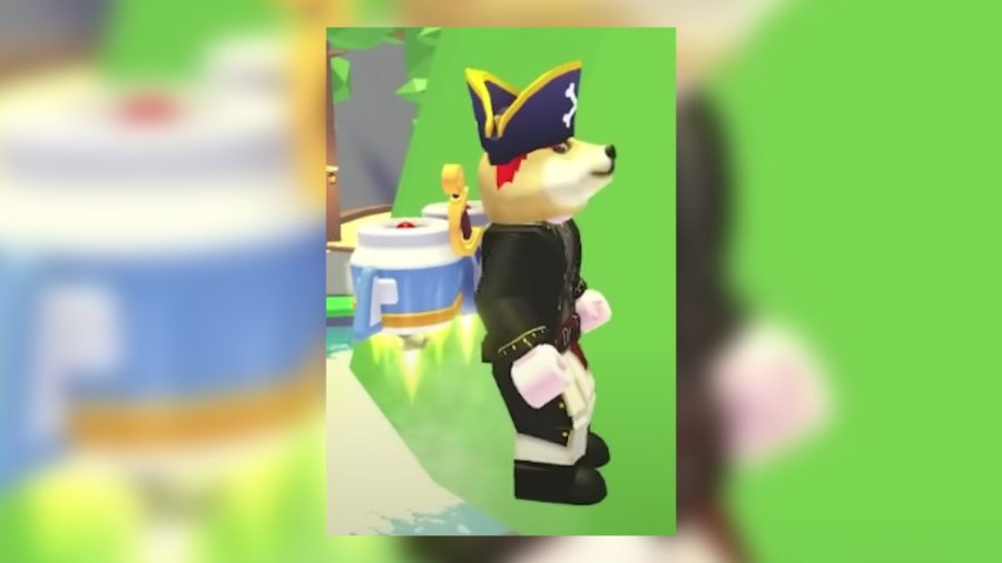 All pets added with Adopt Me's Chipmunk & Raccoon update Roblox Pro