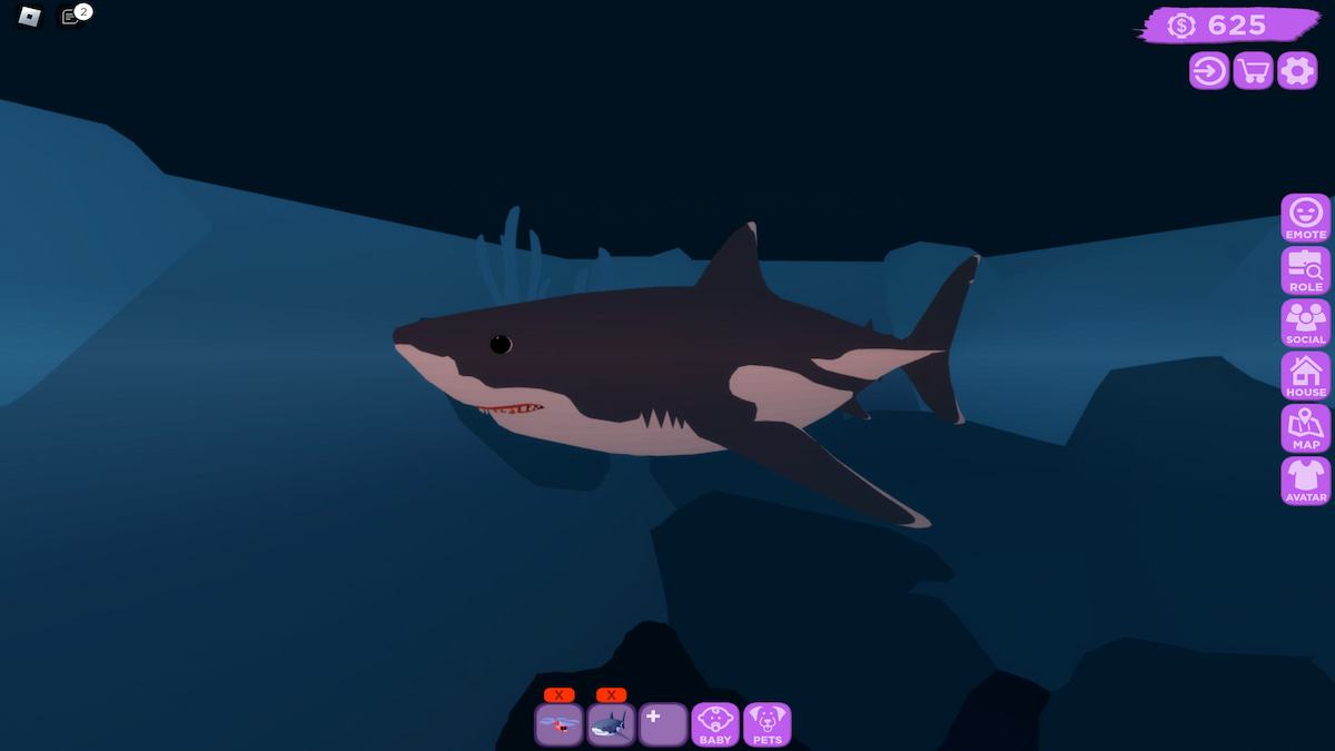 How to get a Megalodon in Club Roblox - Roblox - Pro Game Guides