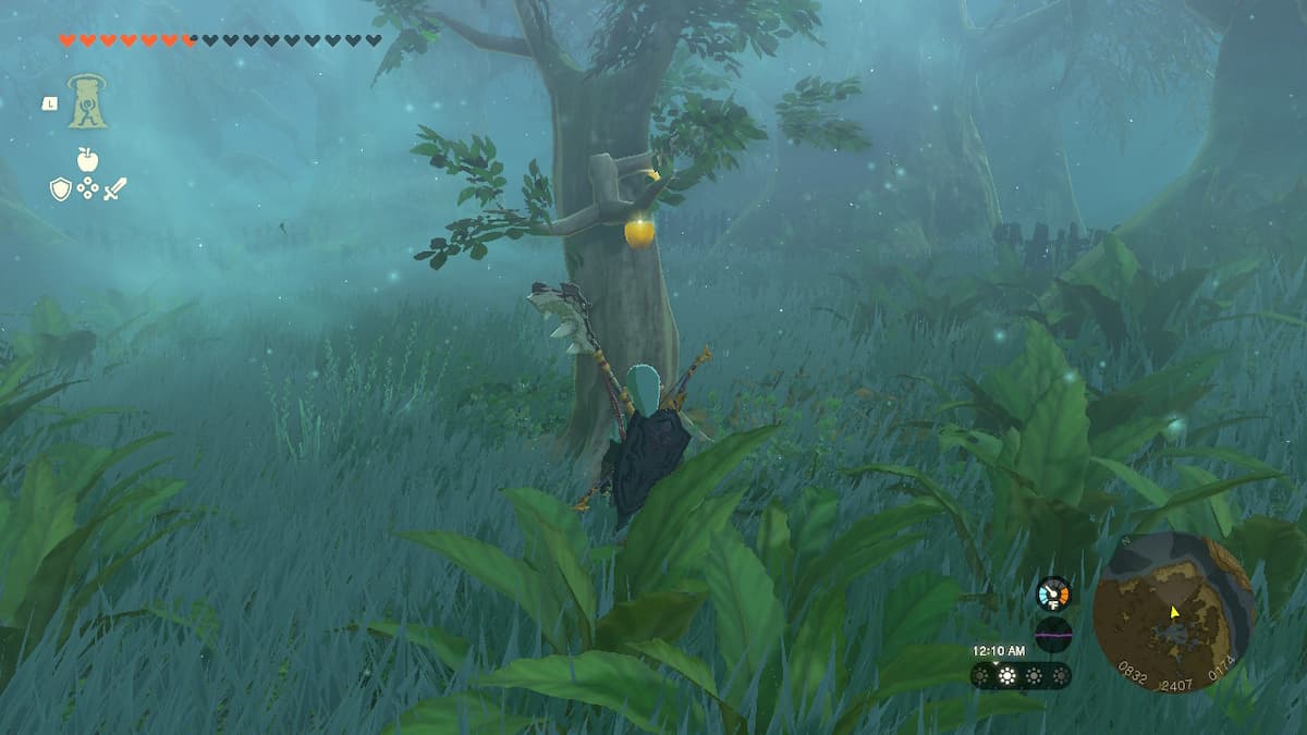 All Totk Lost Woods Shrines How To Find Them Pro Game Guides   Zelda Totk Lost Woods Golden Apples 