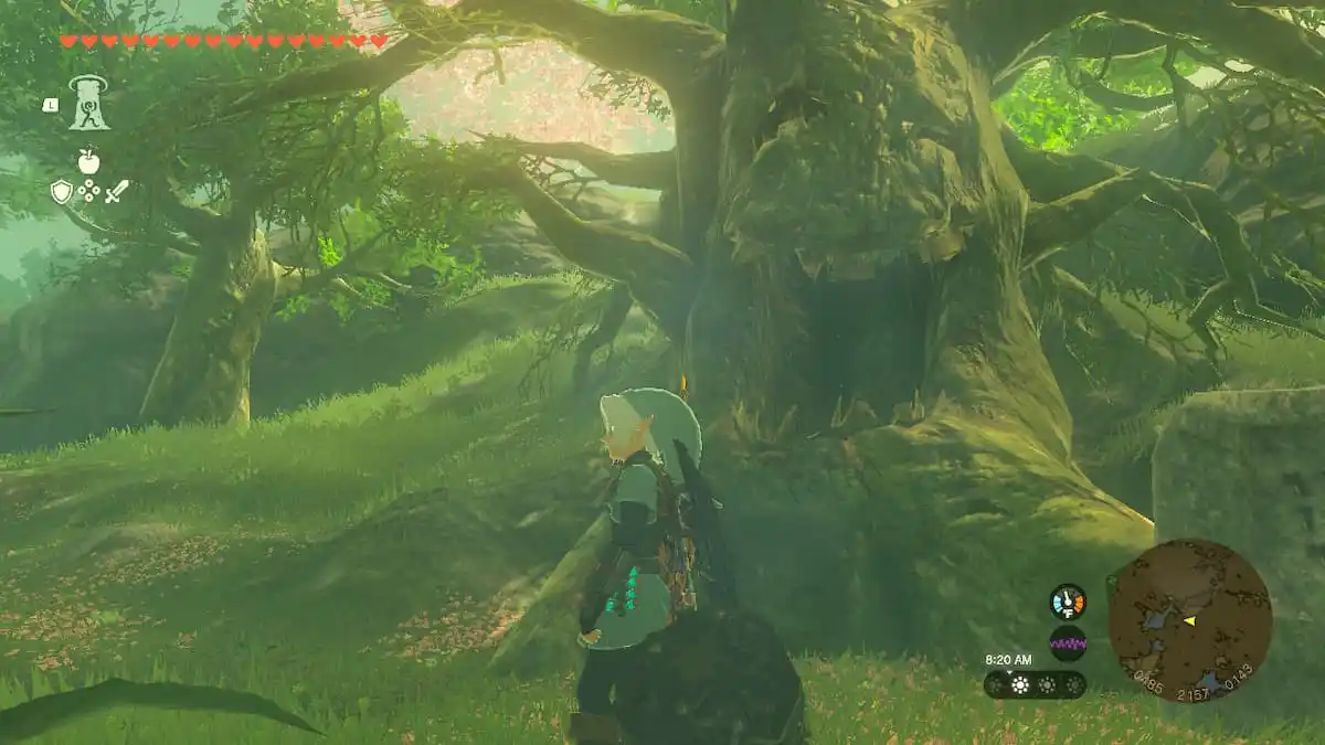 All Totk Lost Woods Shrines How To Find Them Pro Game Guides   Zelda Totk Lost Woods Happy Tree 