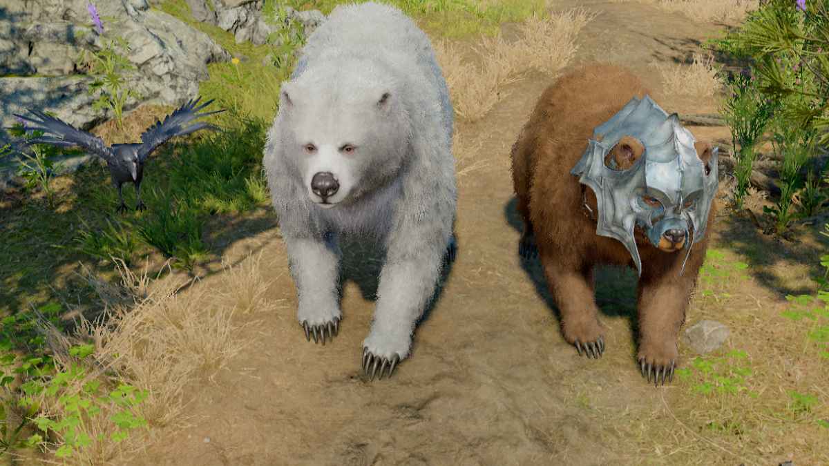 Moon Druid Beast Master build guide in BG3 - Pro Game Guides