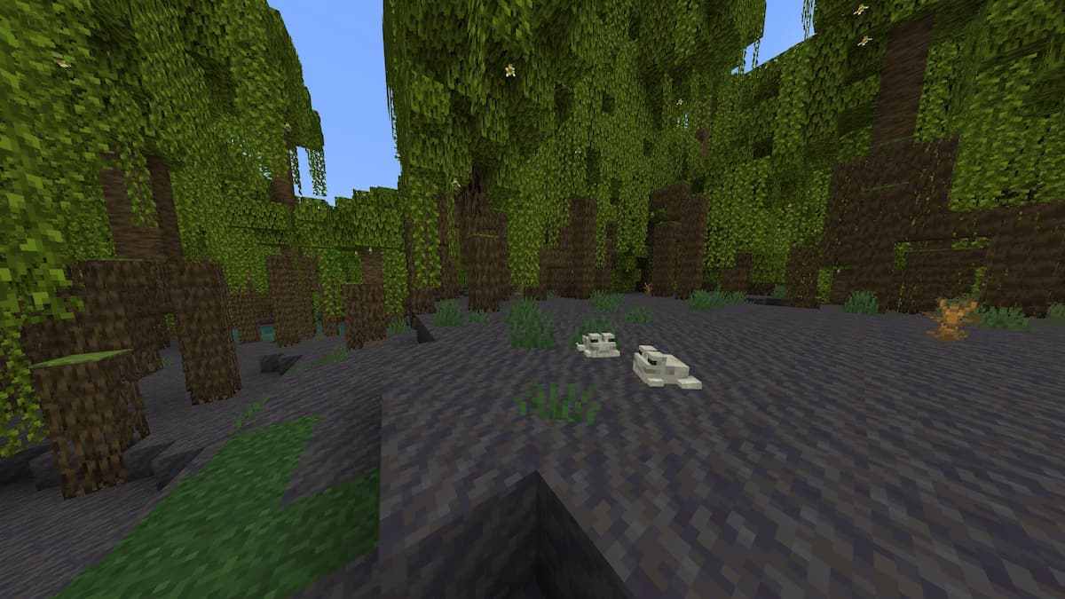 Top 20 Best Minecraft 1.20.1 Seeds (December 2023) - Pro Game Guides