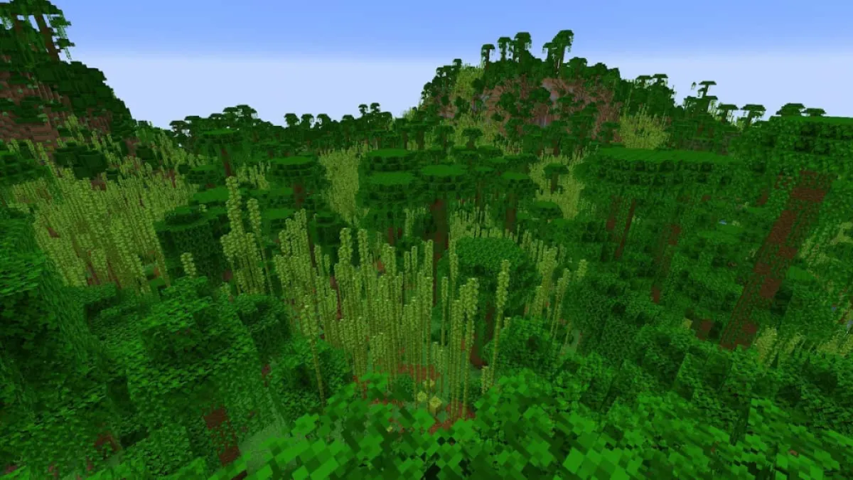 A huge Bamboo Jungle next to Spawn.