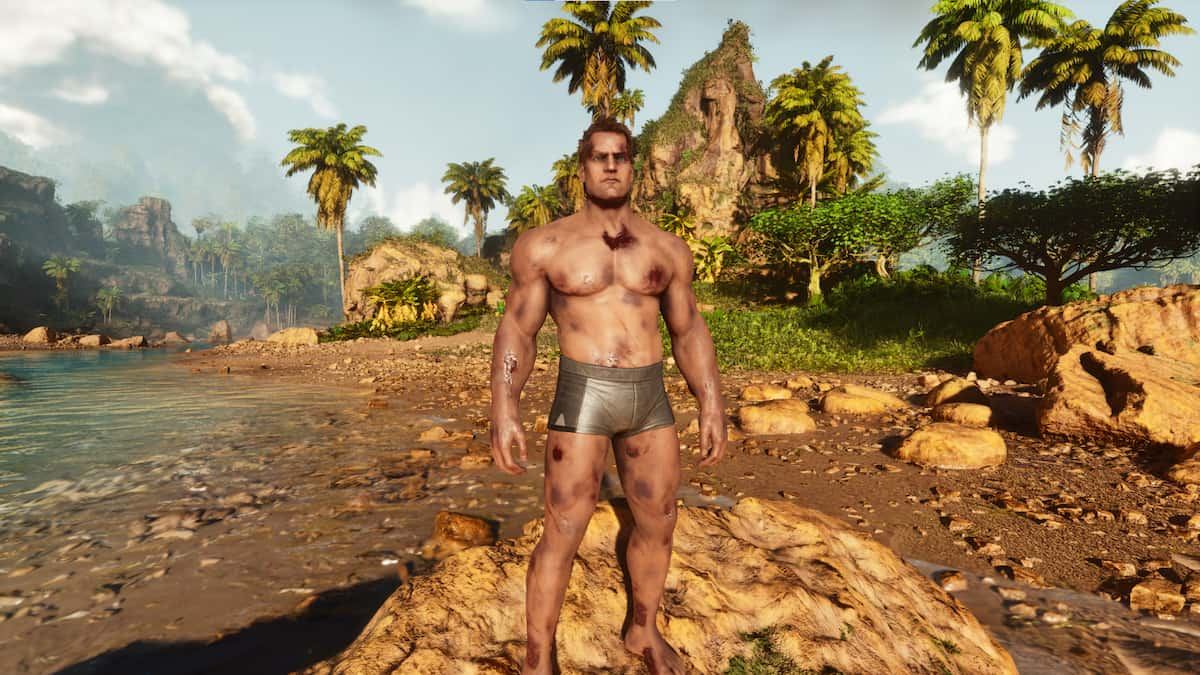 Ark Pro How to use Console Commands in ARK Survival Ascended - Pro Game Guides