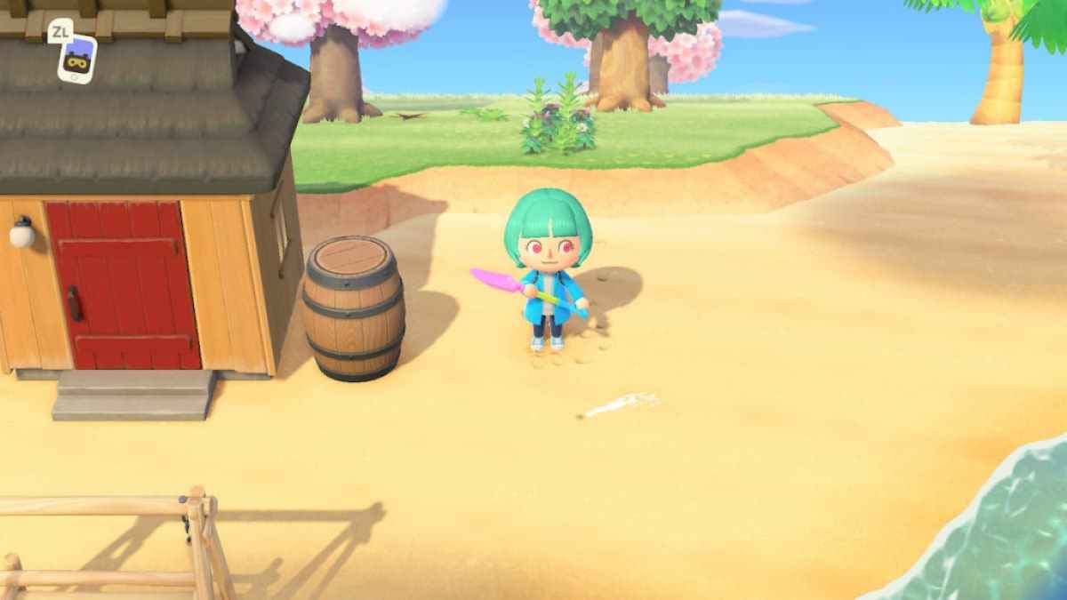 How to get Manila Clams in Animal Crossing - Pro Game Guides