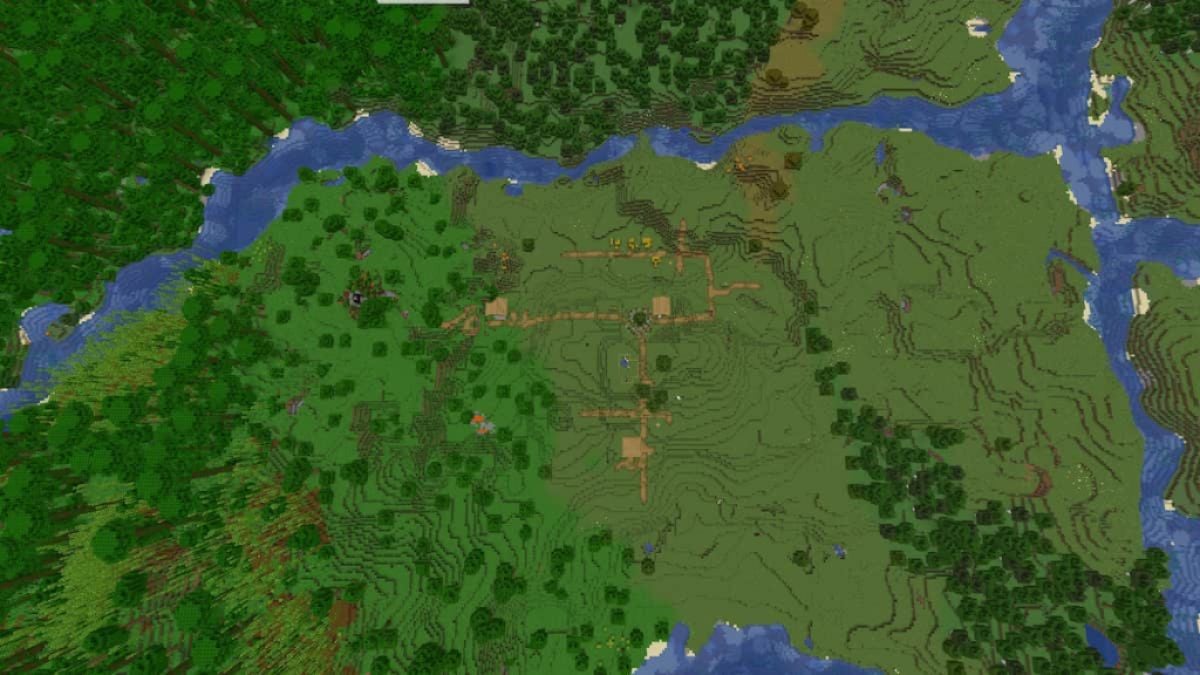 A Plains Village between several different biomes.