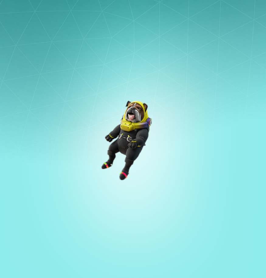 Rocket-Ready Roscoe Back Bling