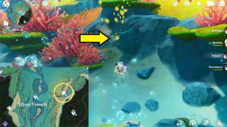 Where to find Otters in Genshin Impact – rescue Otters Hidden Objective