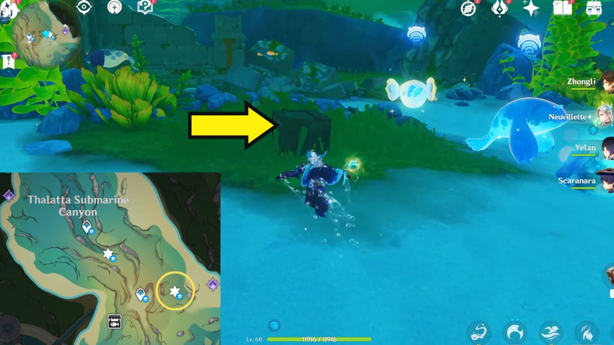 Where to find Otters in Genshin Impact – rescue Otters Hidden Objective