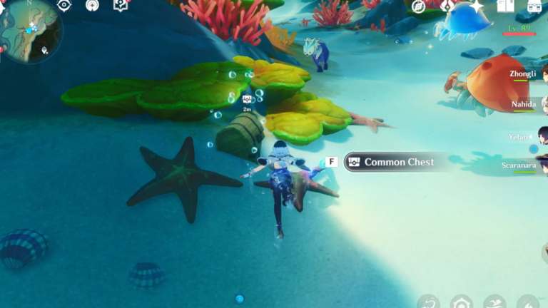 Where to find Otters in Genshin Impact – rescue Otters Hidden Objective