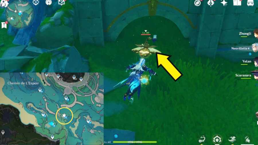 Where to find Otters in Genshin Impact – rescue Otters Hidden Objective