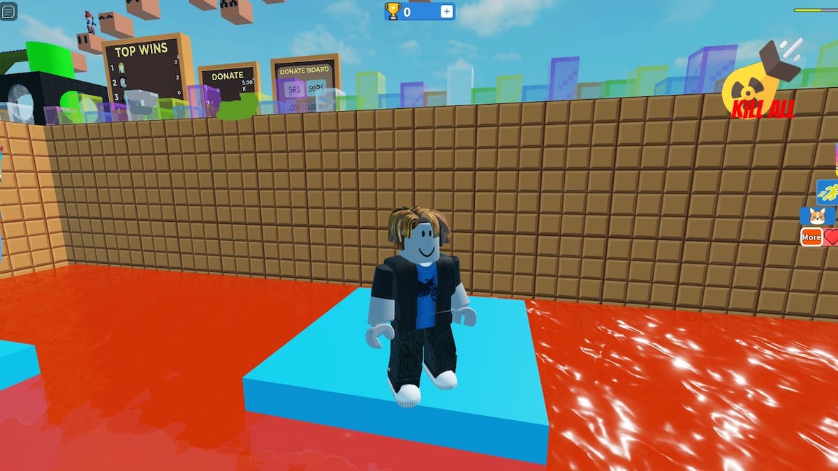 Color Block - Roblox