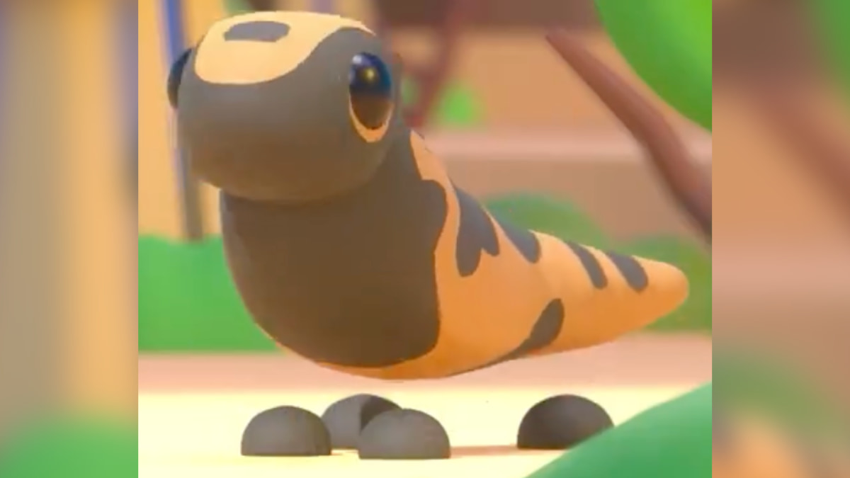 All pets that can be hatched from the Desert Egg in Adopt Me! Roblox