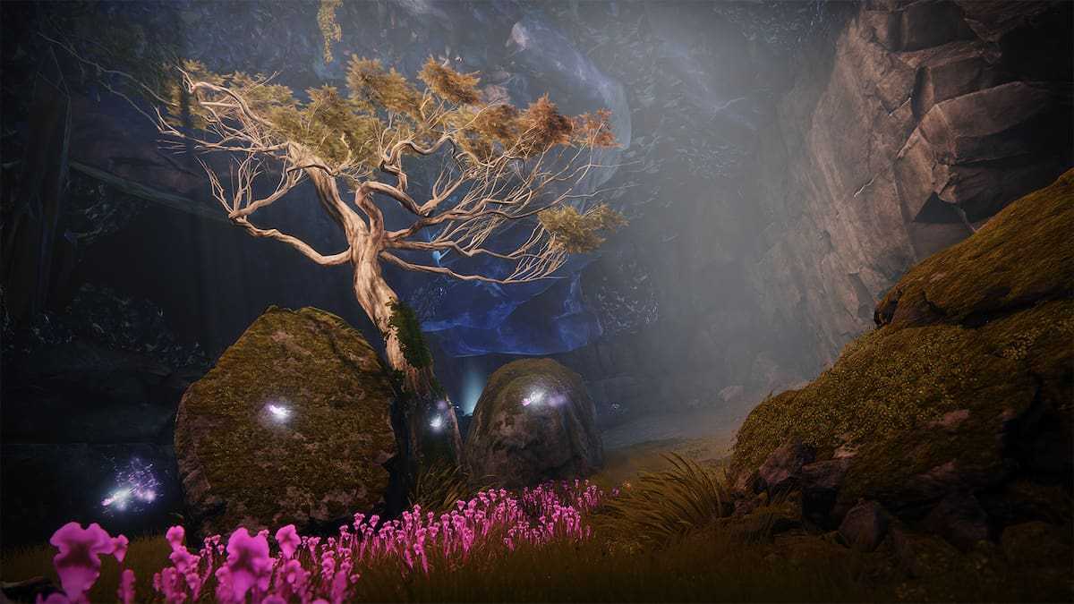 Destiny 2 Riven's Wishes I Quest Guide | Pro Game Guides
