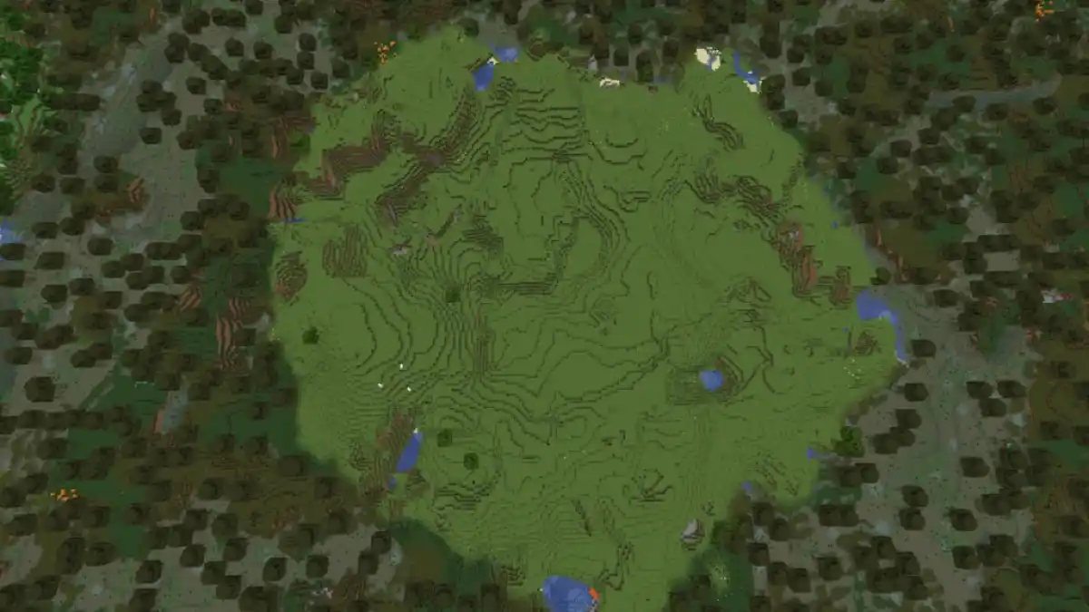 A patch of Plains biome surrounded by a Swamp.