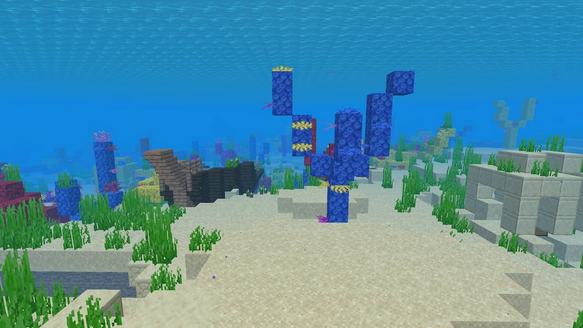A shipwreck and Warm Ocean Ruins in a Coral Reef.